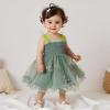 imageToddler Tulle Tutu Dress Baby Girl Sleeveless Floral Embroidery Princess Birthday Party DressesButterfly Wings Green