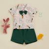 imageKuriozud Toddler Baby Boy Easter Outfits Bunny Tops Carrot Button Down Shirt Short Pants Set Easter Boy Clothes Summer Easter Green 912 Months